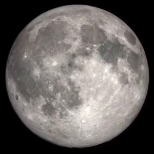 Meet your Posher, Lora